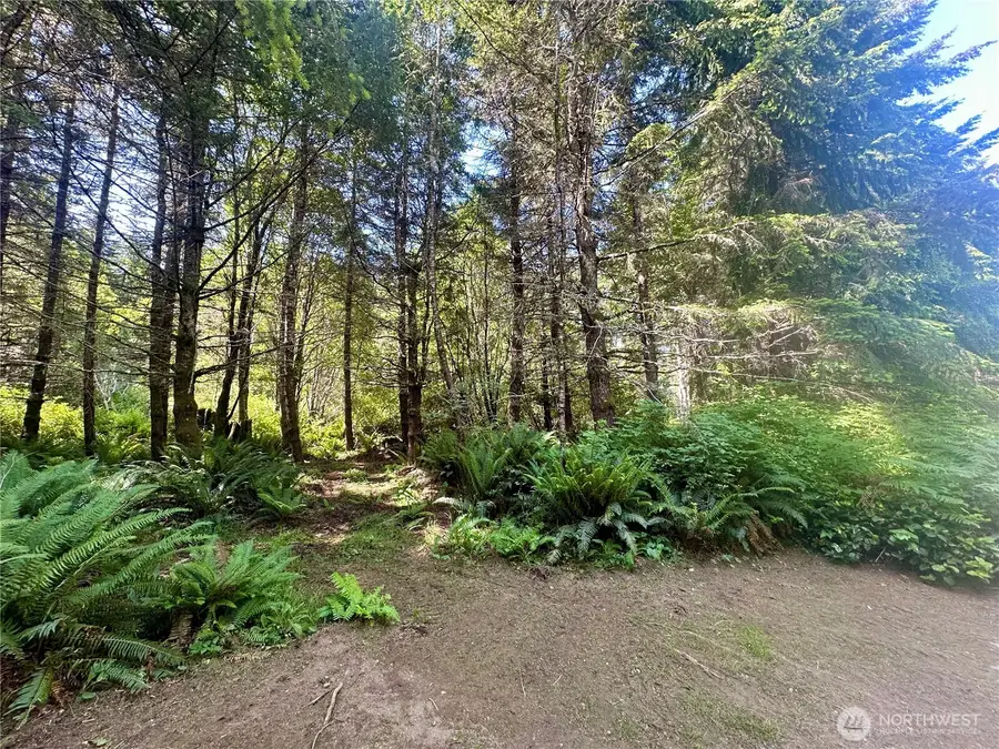 222 Southview Drive, Port Angeles, WA 98363 - Image #3
