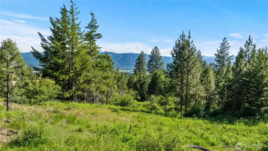 29 Forest Ridge Drive #29, Cle Elum, WA 98922 - #3