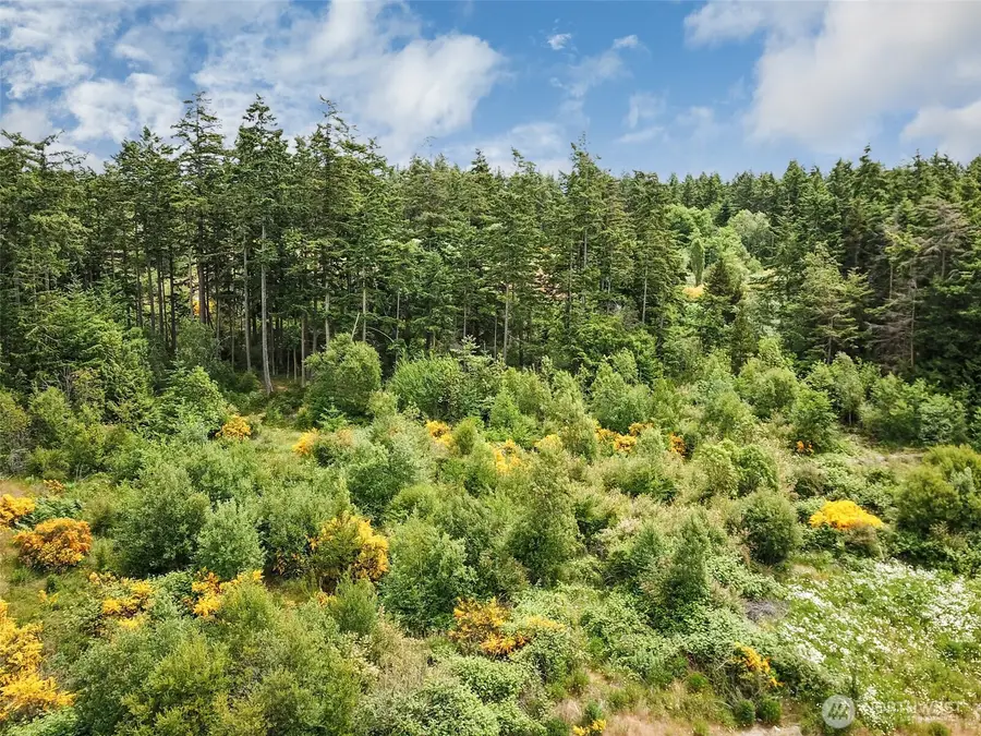 0 Goldie Road, Oak Harbor, WA 98277 - Image #3