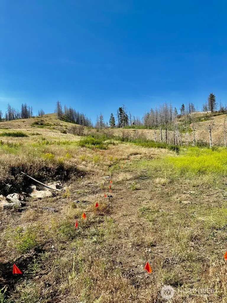 0 Eighme Road #130, Oroville, WA 98844 - Image #3