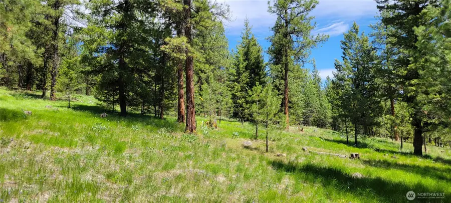 374 Bench Creek Road #10, Tonasket, WA 98855 - Image #2