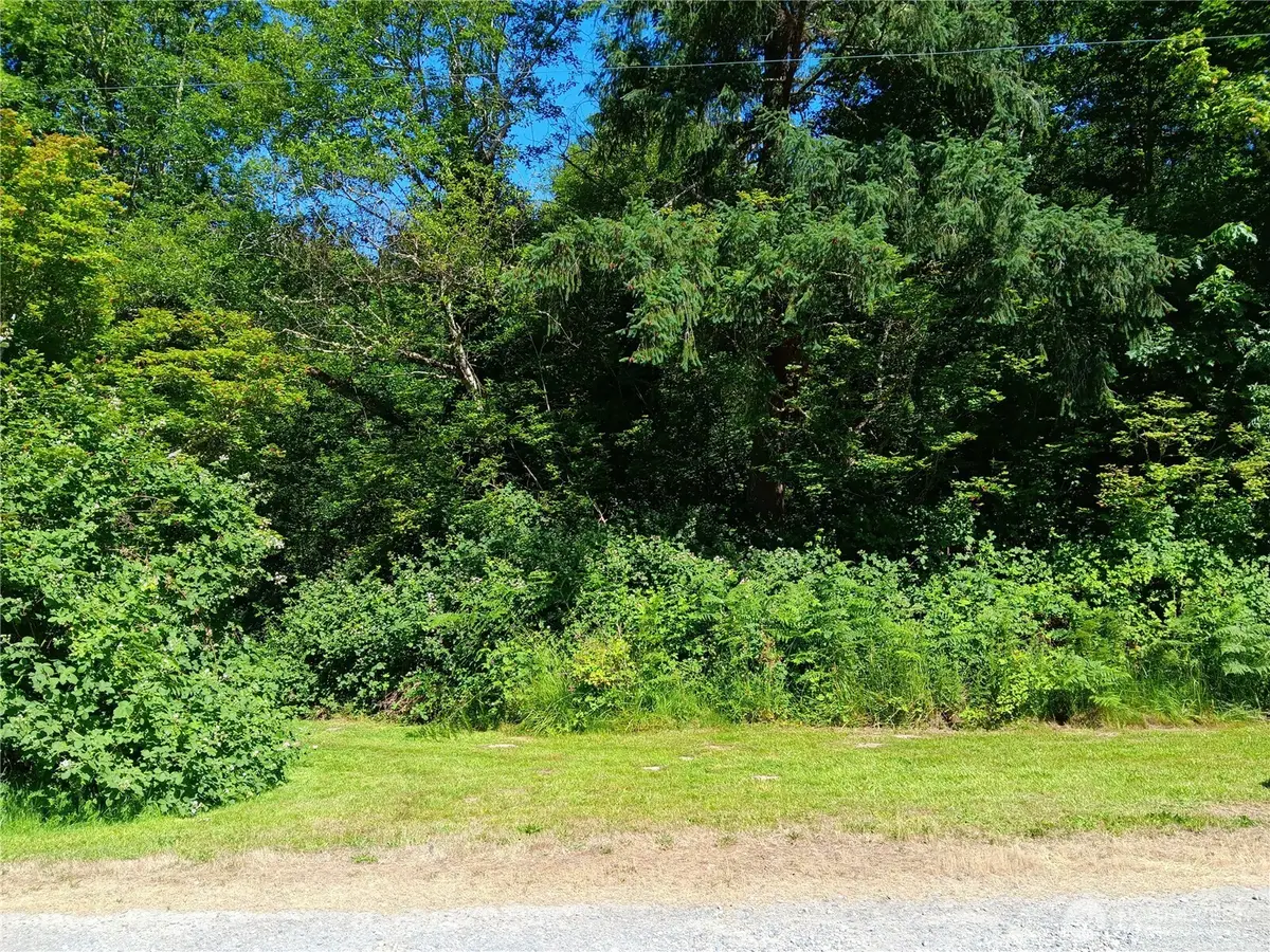 22606 Paul Bunyan, Yelm, WA 98597 - Image #1