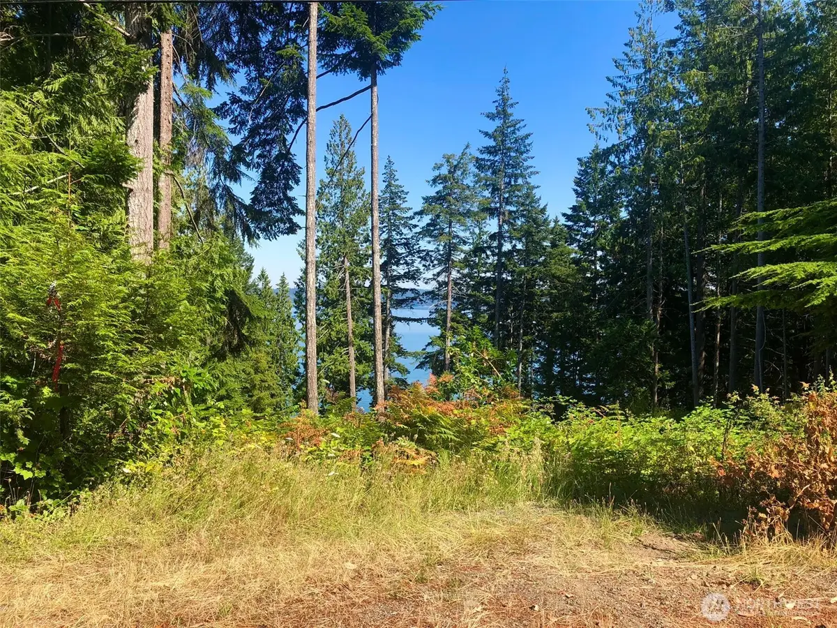 155 Tog Road #13, Brinnon, WA 98320 - Image #1