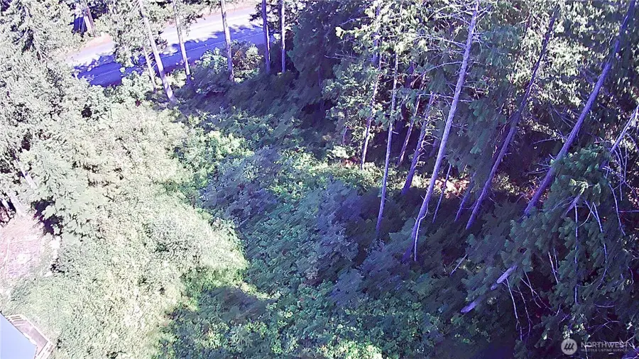 155 Tog Road #13, Brinnon, WA 98320 - Image #3