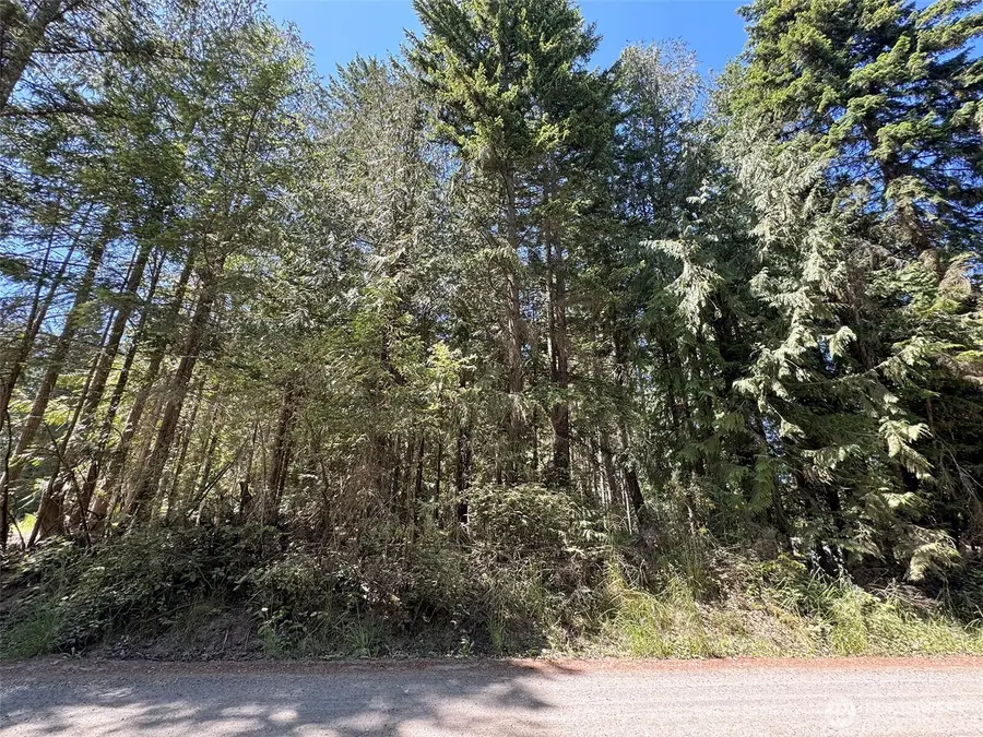 999 N Bagley Creek Road, Port Angeles, WA 98362 - Image #3