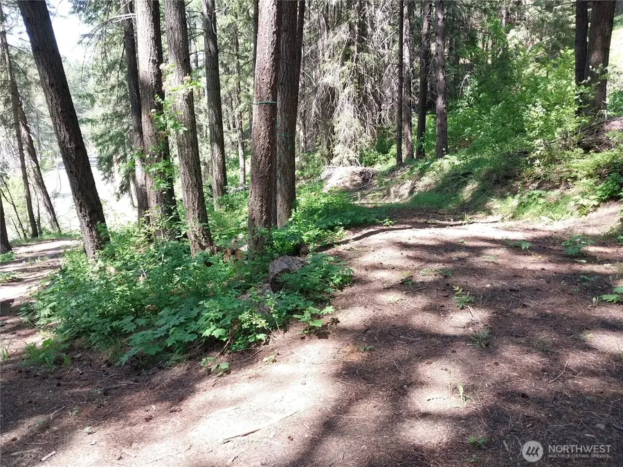 16991 Chumstick Highway, Leavenworth, WA 98826 - Image #3