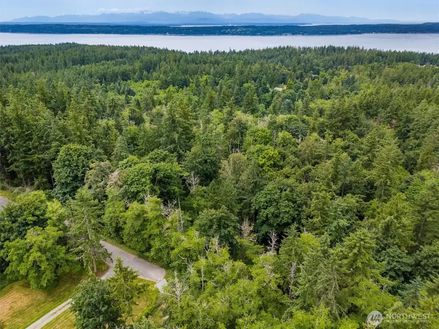 304 Dove Drive, Camano Island, WA 98282 - Image #2