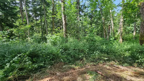 0 Dove Drive, Camano Island, WA 98282