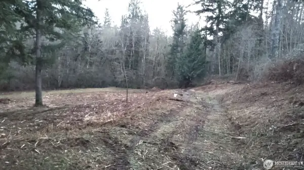 6123 139th Ln Sw, Rochester, WA 98579