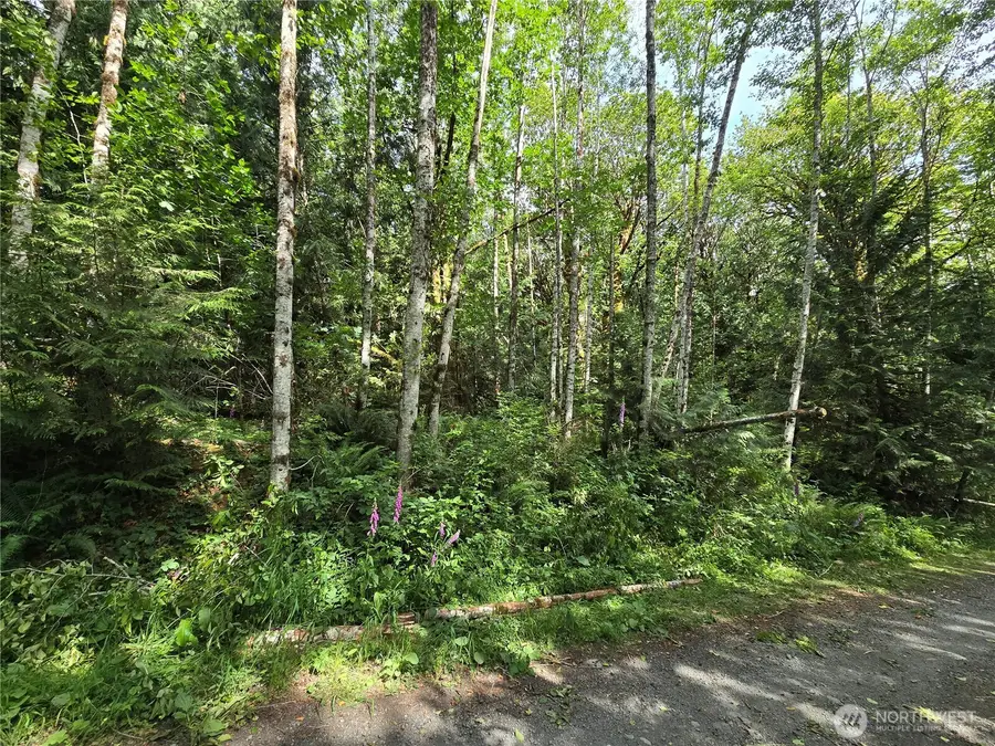 0 Triton Heights Road, Lilliwaup, WA 98555 - Image #2