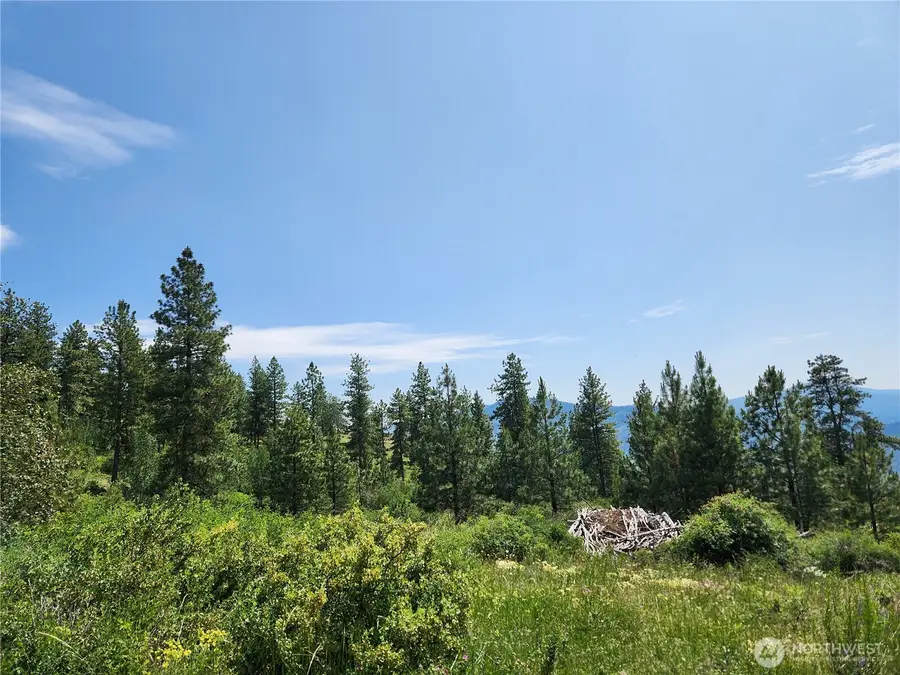 0 Roundabout Road #N 1/2 LOT 4, Tonasket, WA 98859 - Image #2