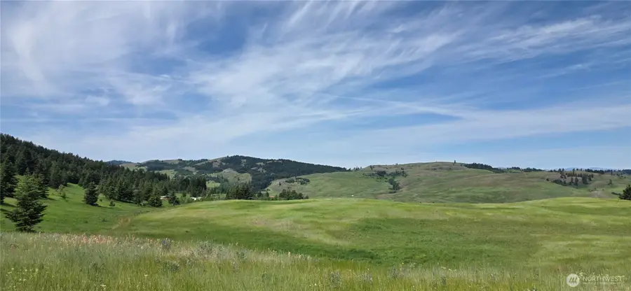 37 Turner Homestead Rd, Oroville, WA 98844 - Image #3