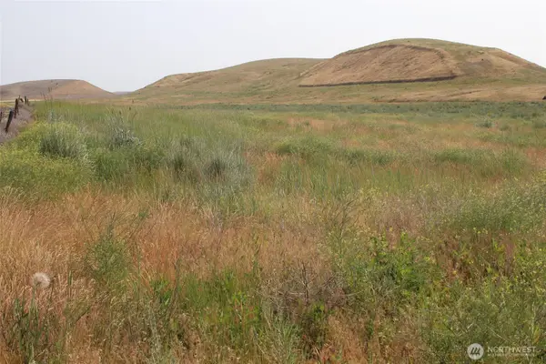 0 Allert Road, Washtucna, WA 99371