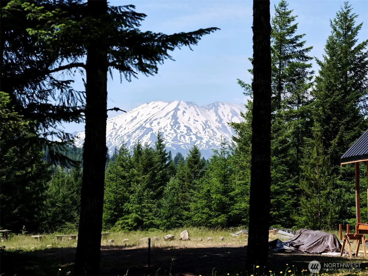 2 Phyllis Ann Block Court #2, Cougar, WA 98616 - Image #1