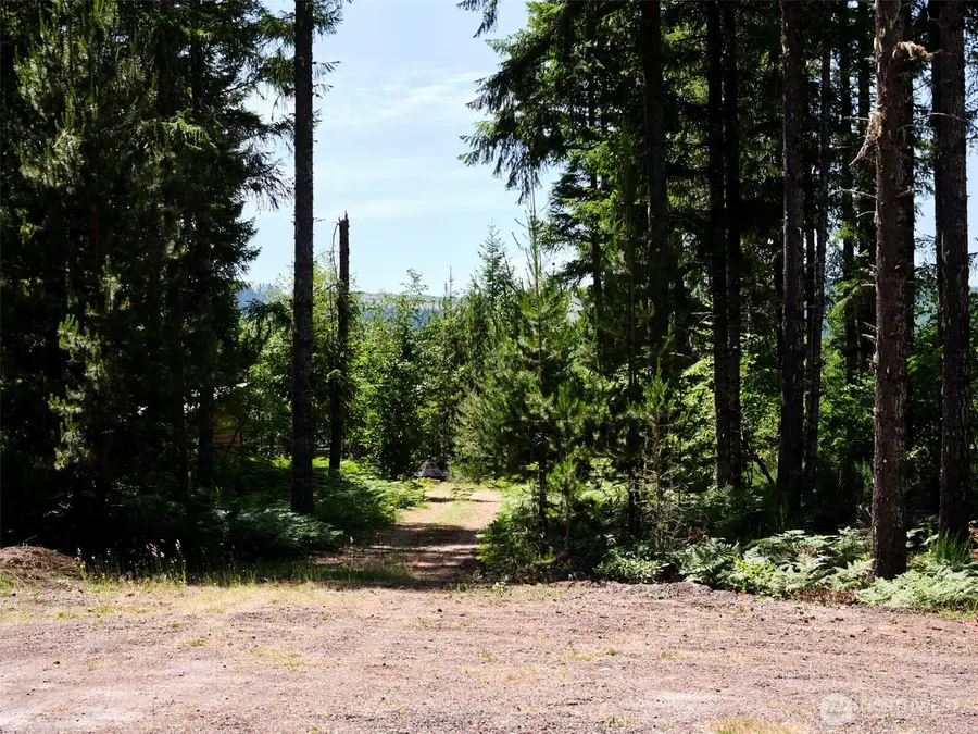 2 Phyllis Ann Block Court #2, Cougar, WA 98616 - Image #2