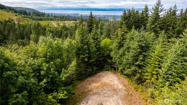 9999 S Old Mill Road, Port Angeles, WA 98362