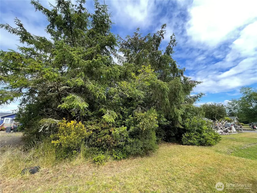 572 Duck Lake Drive Ne, Ocean Shores, WA 98569 - Image #2