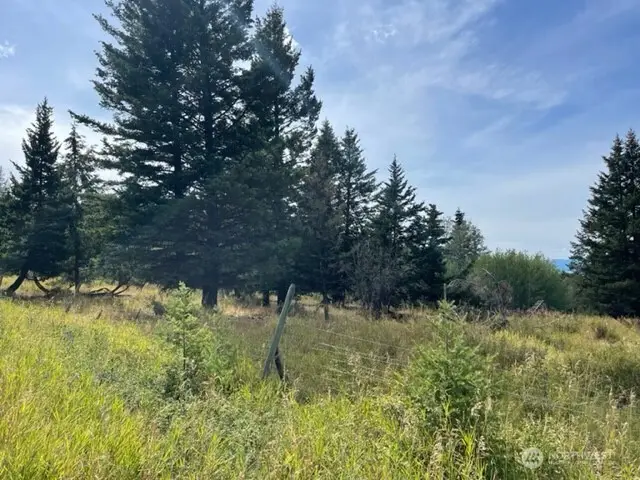 111 Tbd Davies Road, Oroville, WA 98844 - Image #2