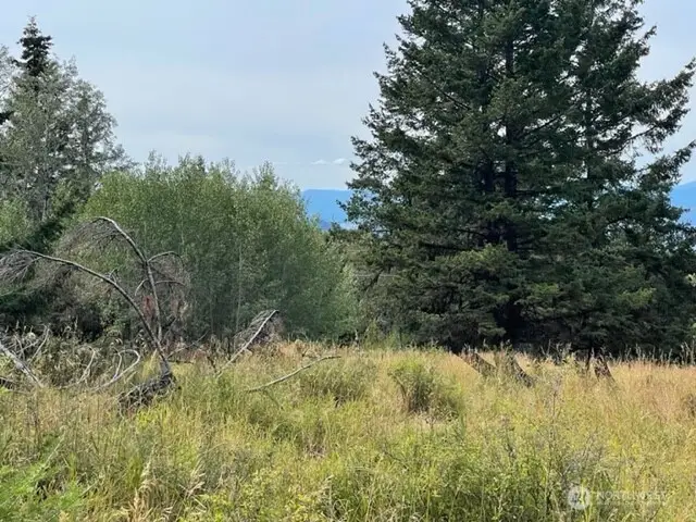 111 Tbd Davies Road, Oroville, WA 98844 - Image #3