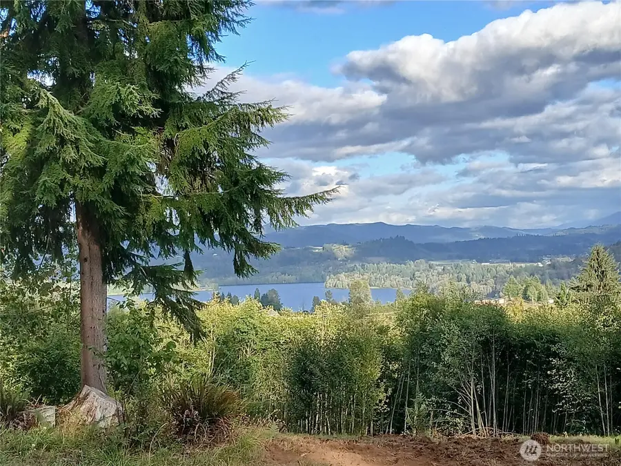 132 Salem Plant Road, Silver Creek, WA 98585 - Image #2