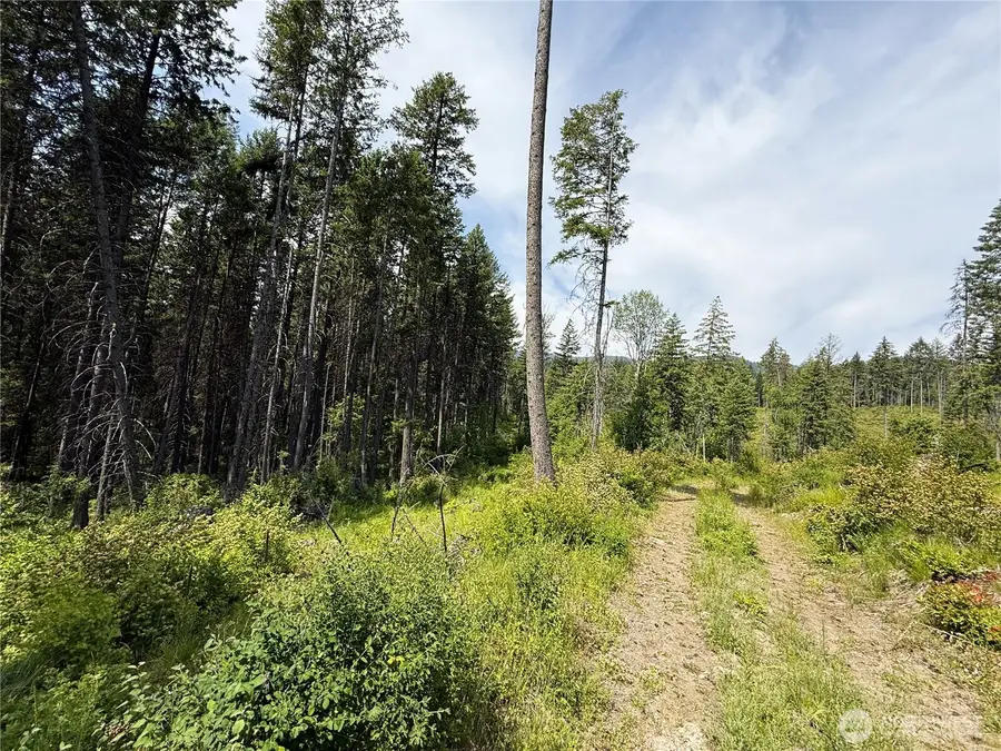 0 Rockabye Lane #Lot 2, Curlew, WA 99118 - Image #2