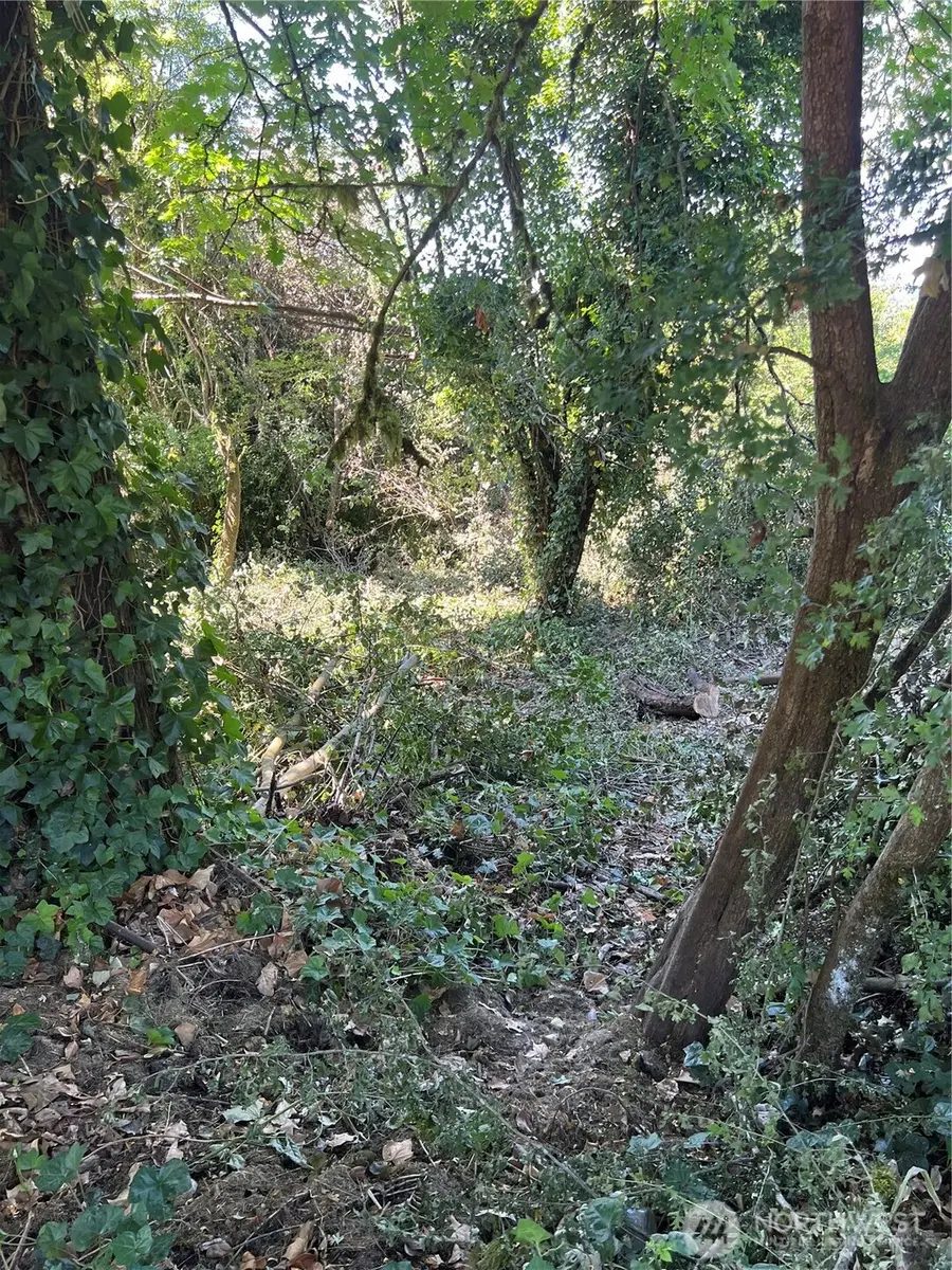 1111 Cherry And Broadway #20-21-22, Duvall, WA 98019 - Image #2