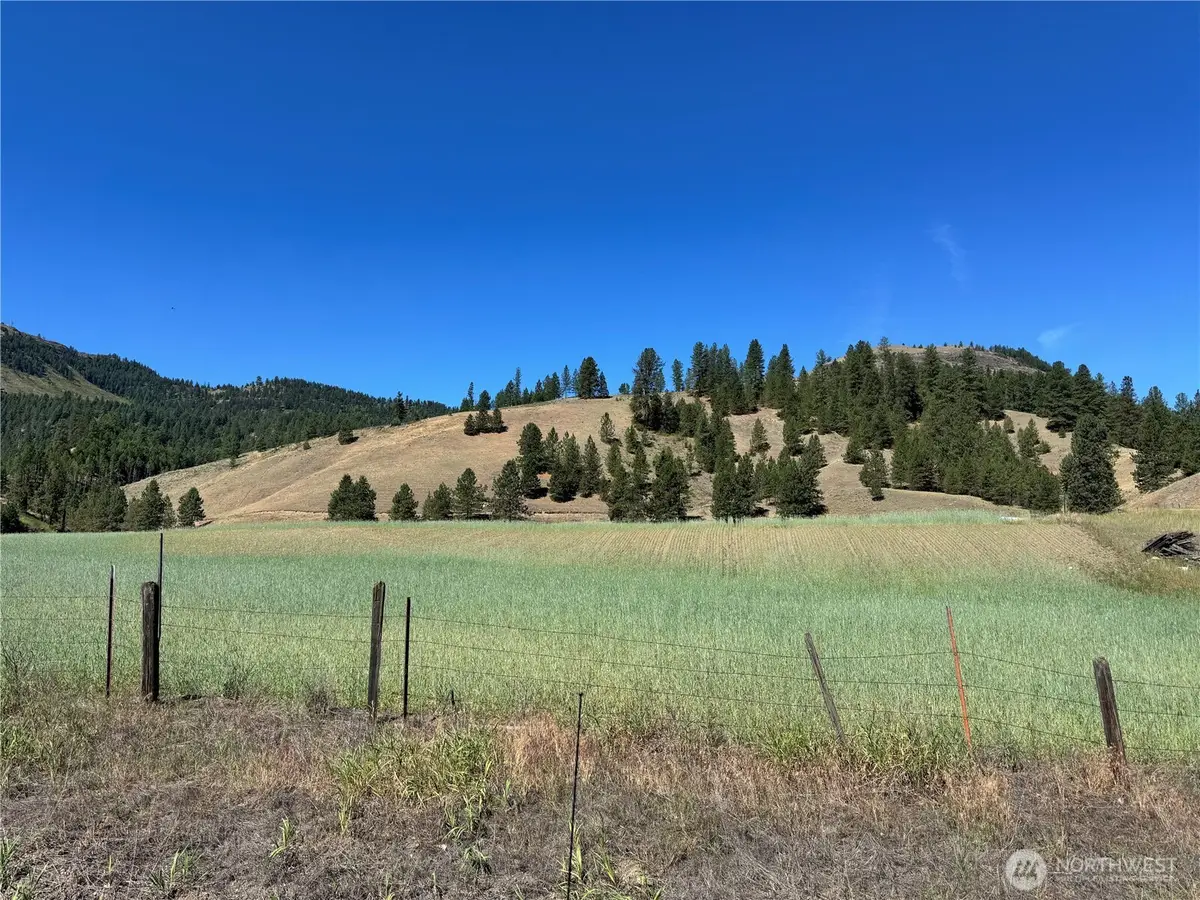 4 Lundimo Meadows Road, Curlew, WA 99118 - Image #1