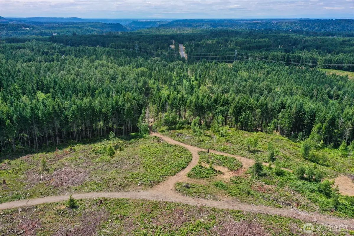 0 Ap Tubbs Road #29, Carbonado, WA 98323 - Image #1