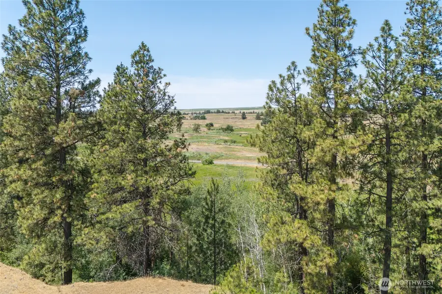 36000 S Bootstrap Ln, Cheney, WA 99004 - Image #2