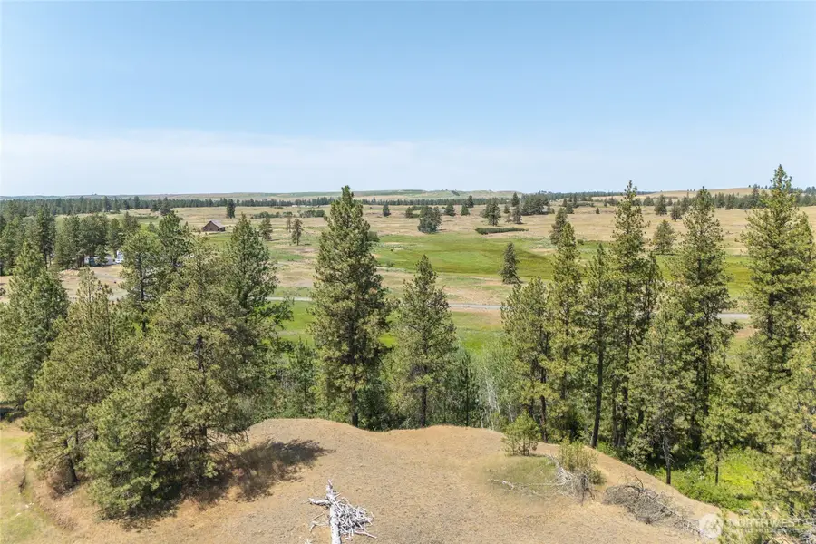 36000 S Bootstrap Ln, Cheney, WA 99004 - Image #3