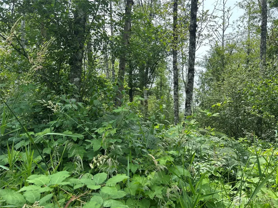 3474 Old Highway 99 Road N, Burlington, WA 98233 - Image #3