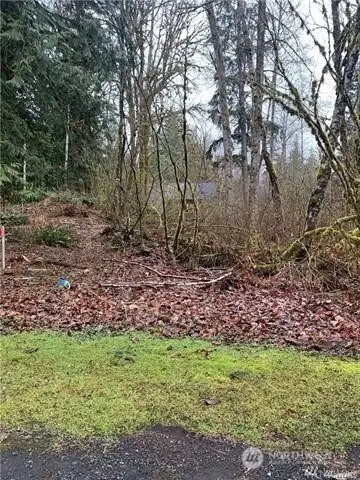 16007 Shuksan Rim Drive #7, Glacier, WA 98244 - Image #1