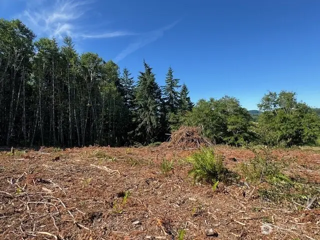 0 Nelson Road, Winlock, WA 98596 - Image #2