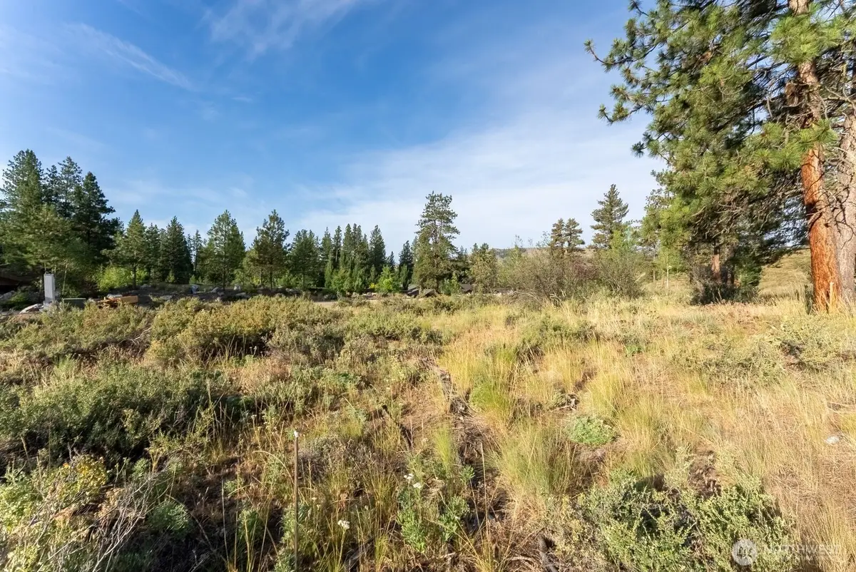 615 Pine Loop #Lot 25, Winthrop, WA 98862 - Image #1