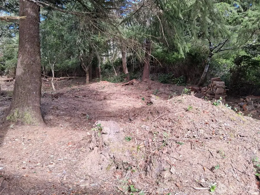 0 O Lane, Ocean Park, WA 98640 - Image #3