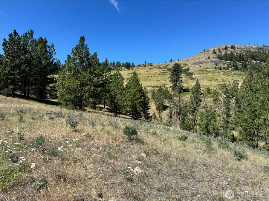 1 Lundimo Meadows Road, Curlew, WA 99118 - Image #2