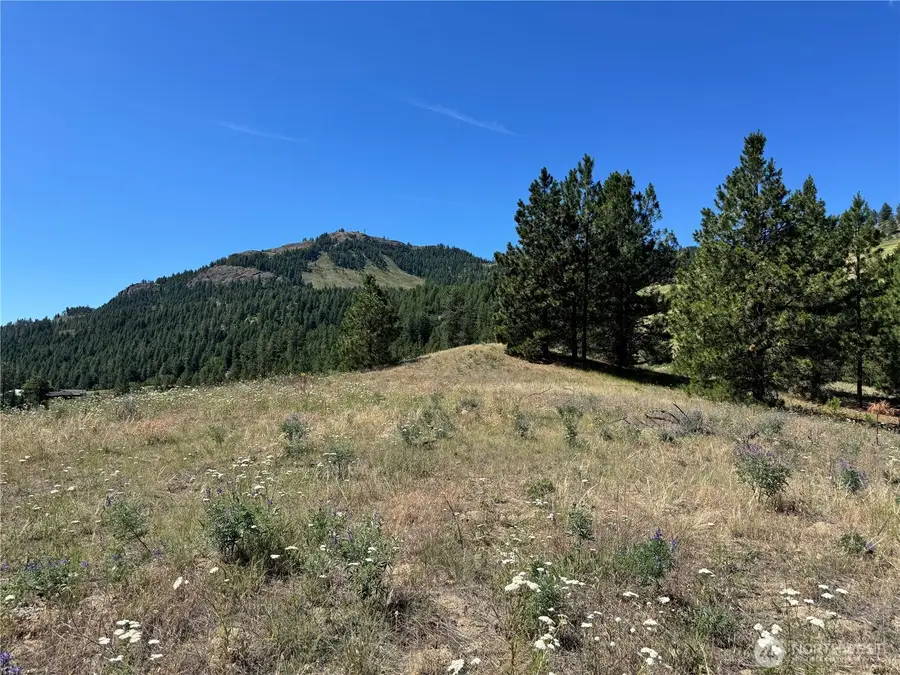 1 Lundimo Meadows Road, Curlew, WA 99118 - Image #3