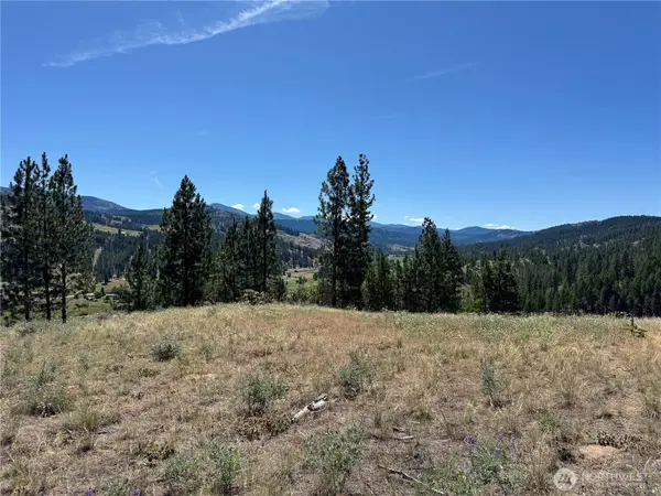 2 Lundimo Meadows Road, Curlew, WA 99118