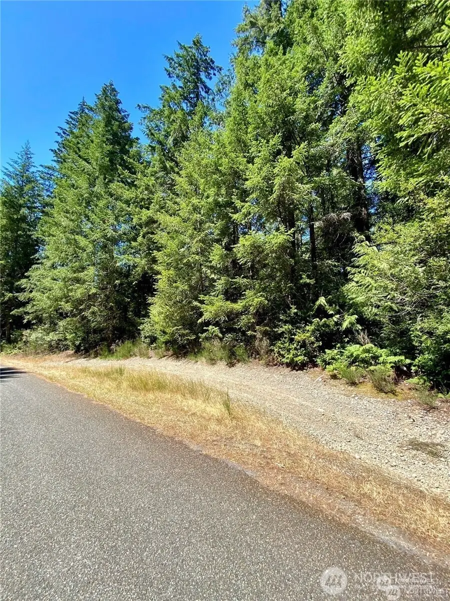 0 E Balmoral Way, Shelton, WA 98584 - Image #1