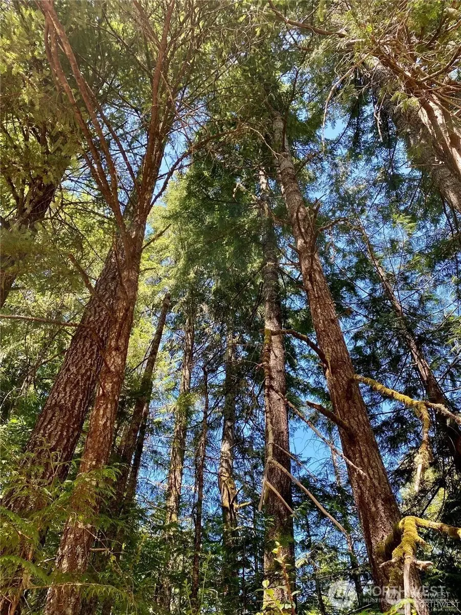 0 E Balmoral Way, Shelton, WA 98584 - Image #3