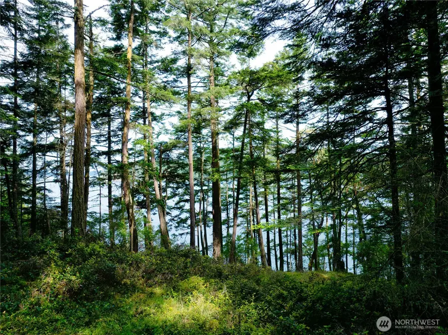 0 Pass View Road #7, Blakely Island, WA 98221 - Image #2