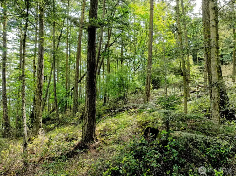 0 Pass View Road #7, Blakely Island, WA 98221 - Image #3