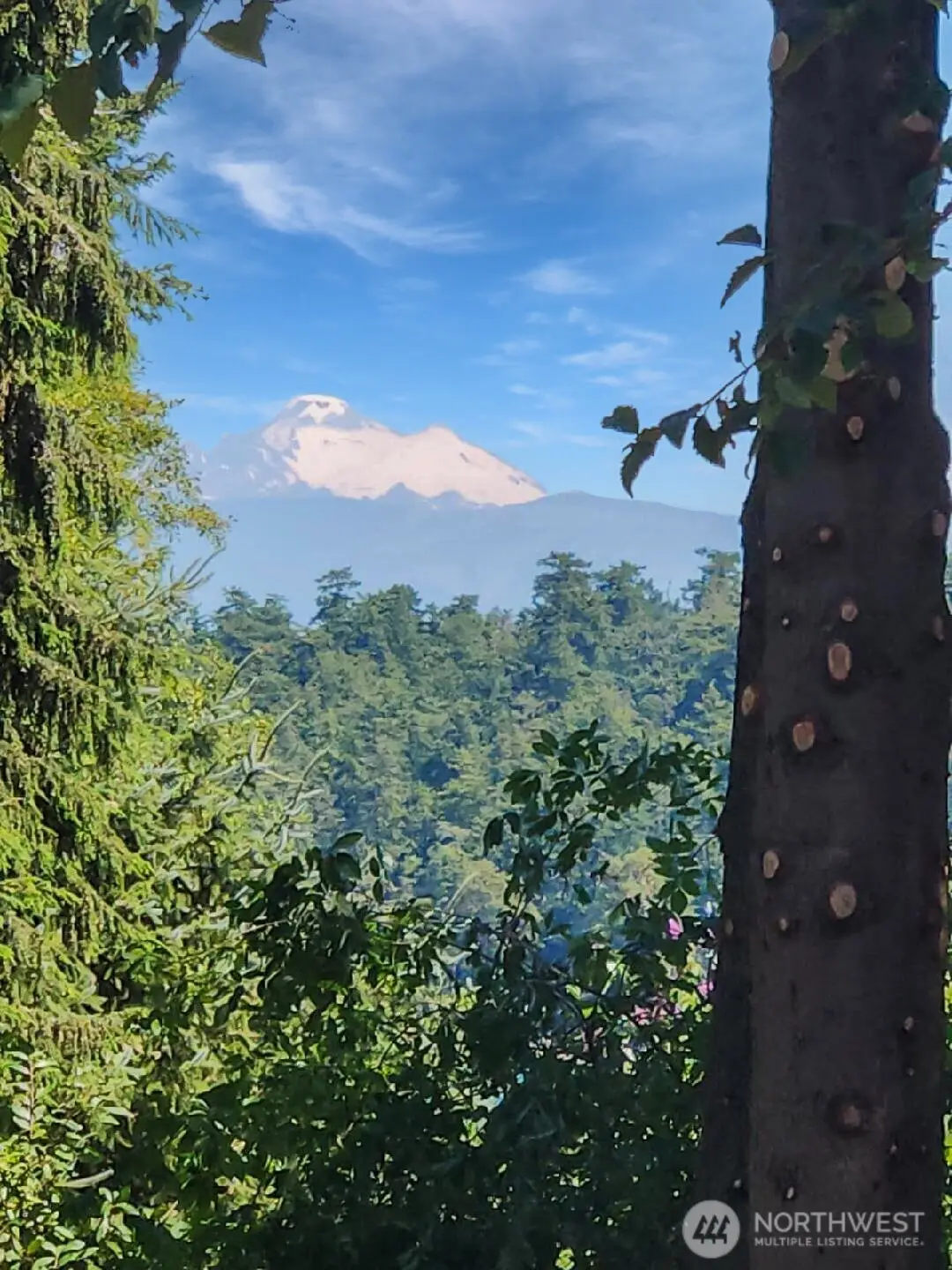 4985 Bakerview Road, Oak Harbor, WA 98277 - Image #1