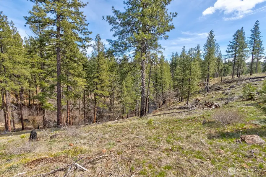 0 Box Canyon Road, Goldendale, WA 98620 - Image #3