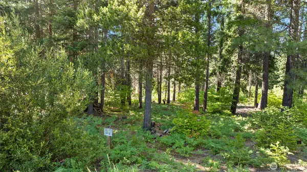 131 Goat Creek Lane #4, Cle Elum, WA 98922