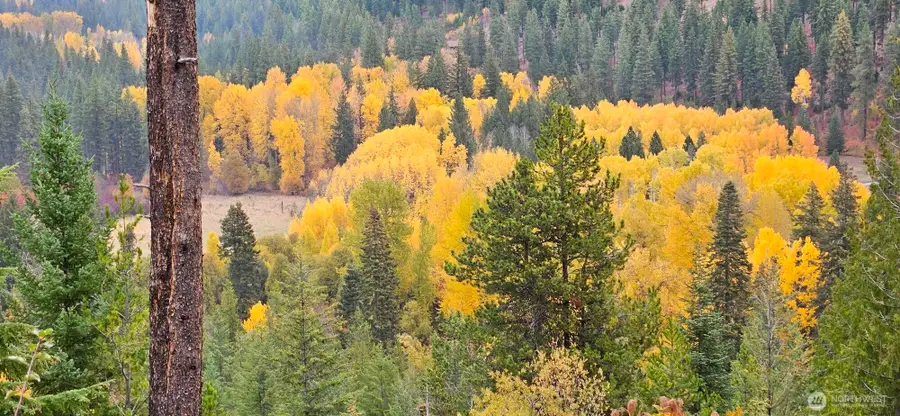 11411 Shugart Flats Road, Leavenworth, WA 98826 - Image #3