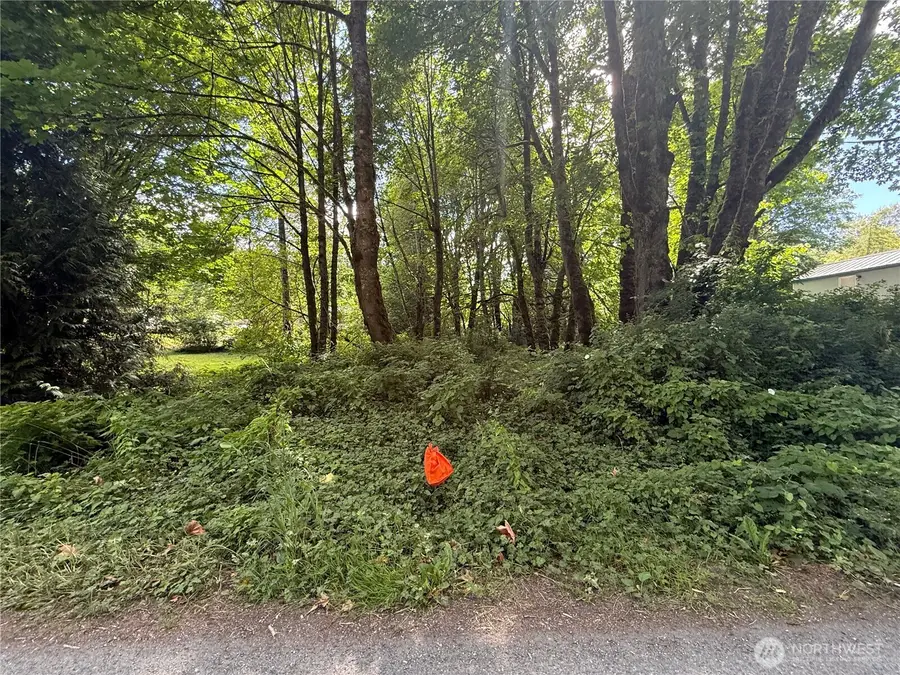 0 Cape Horn Drive #20, Concrete, WA 98237 - Image #2