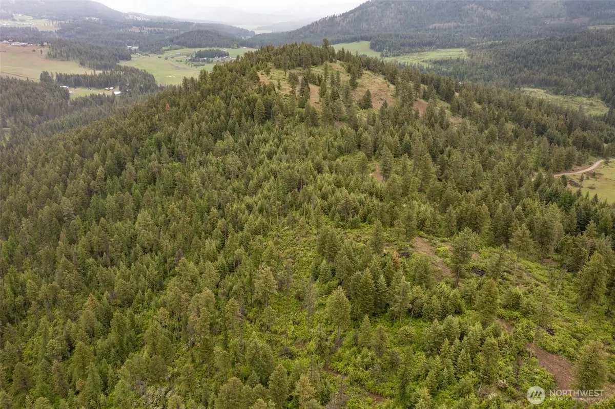 2420 Cedonia Addy Road, Addy, WA 99101 - Image #1