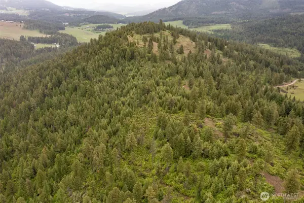 2420 Cedonia Addy Road, Addy, WA 99101