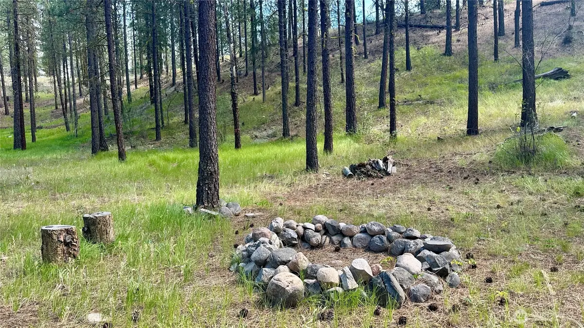 98 Larkspur Drive #29, Winthrop, WA 98862 - Image #1